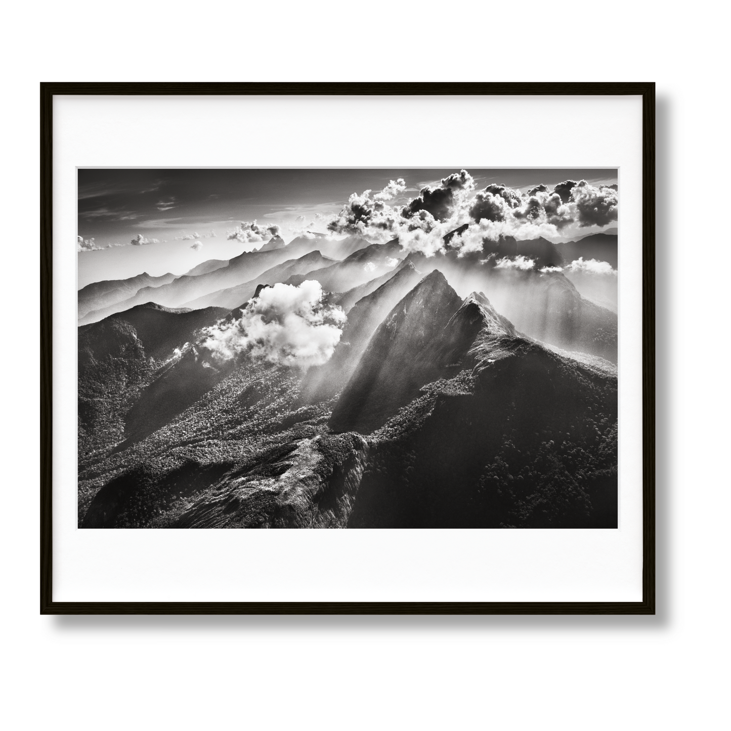 Sebastião Salgado. Amazônia. Art C (English) (AP)