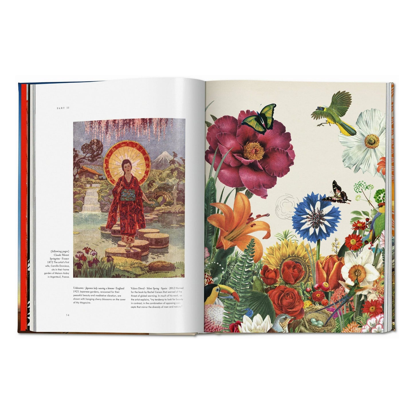 Magie des plantes. La Bibliothèque de l'Ésotérisme (French)