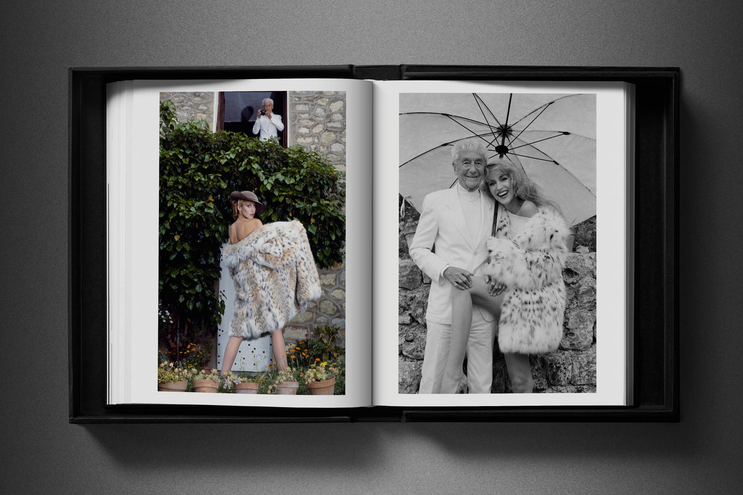 Bailey, 1980s Fashion, Art A, Yves Saint Laurent (English) (AP)