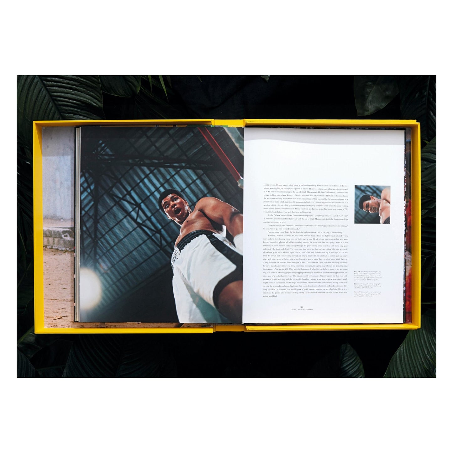 Norman Mailer. N.Leifer. H.Bingham. The Fight, Art Edition No. 1–125, Neil Leifer ‘Ali vs. Foreman – Ali Glaring at Foreman’ (English) (SA)