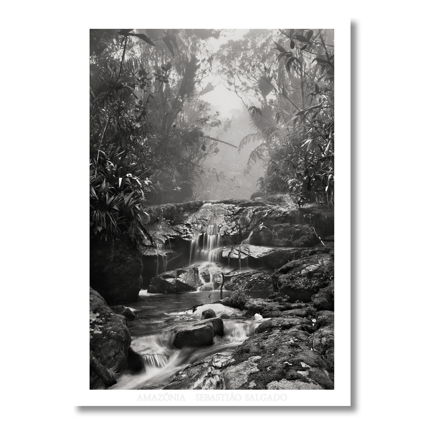 Sebastião Salgado. Amazônia. Poster ‘Creek’