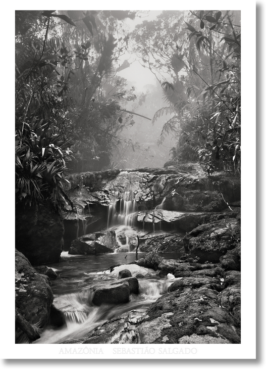 Sebastião Salgado. Amazônia. Poster ‘Creek’