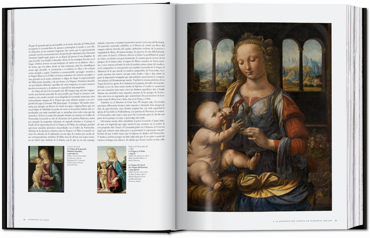 Leonardo. Tutti i dipinti e disegni (Italian)