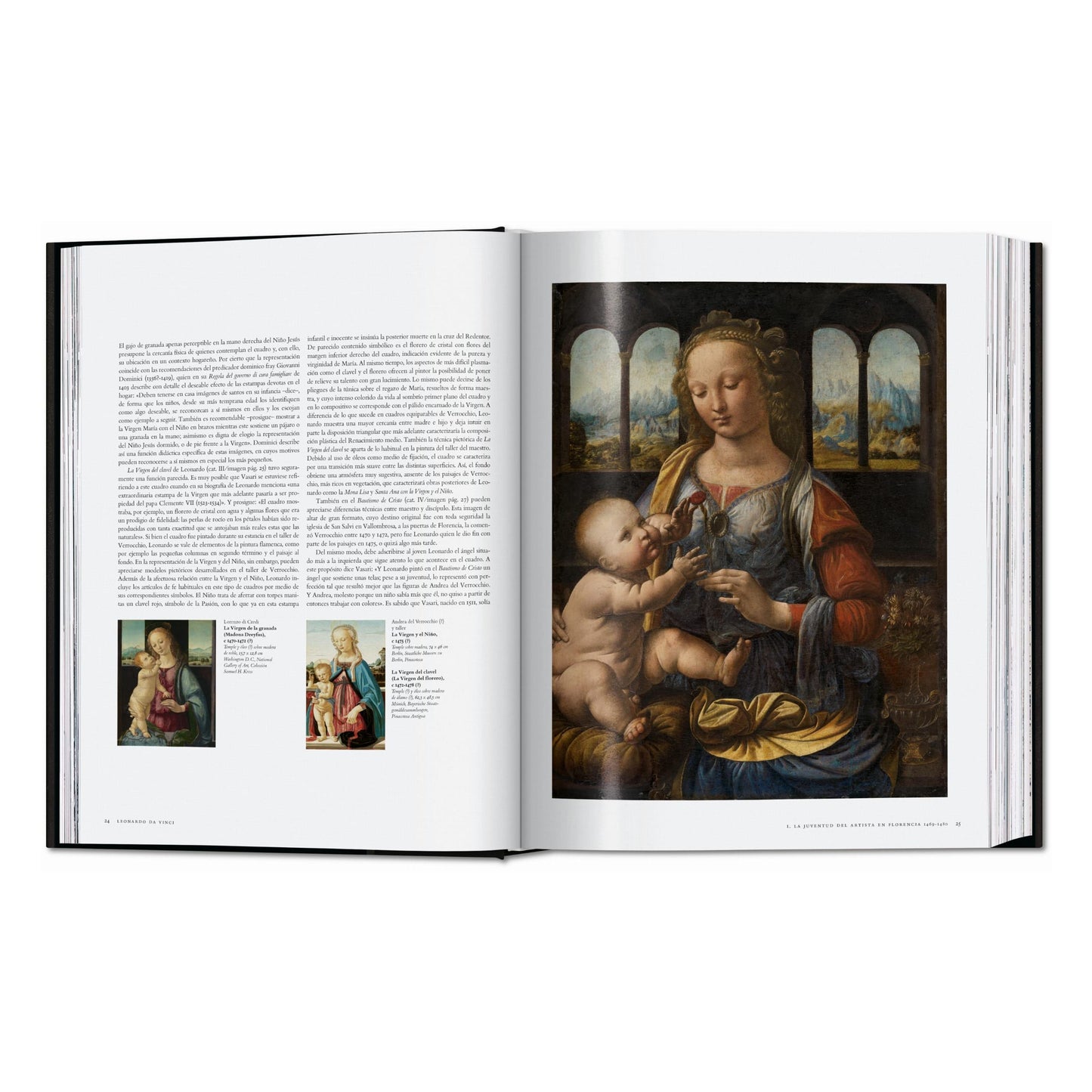 Leonardo. Obra Completa de Pintura e Desenho (Portuguese)