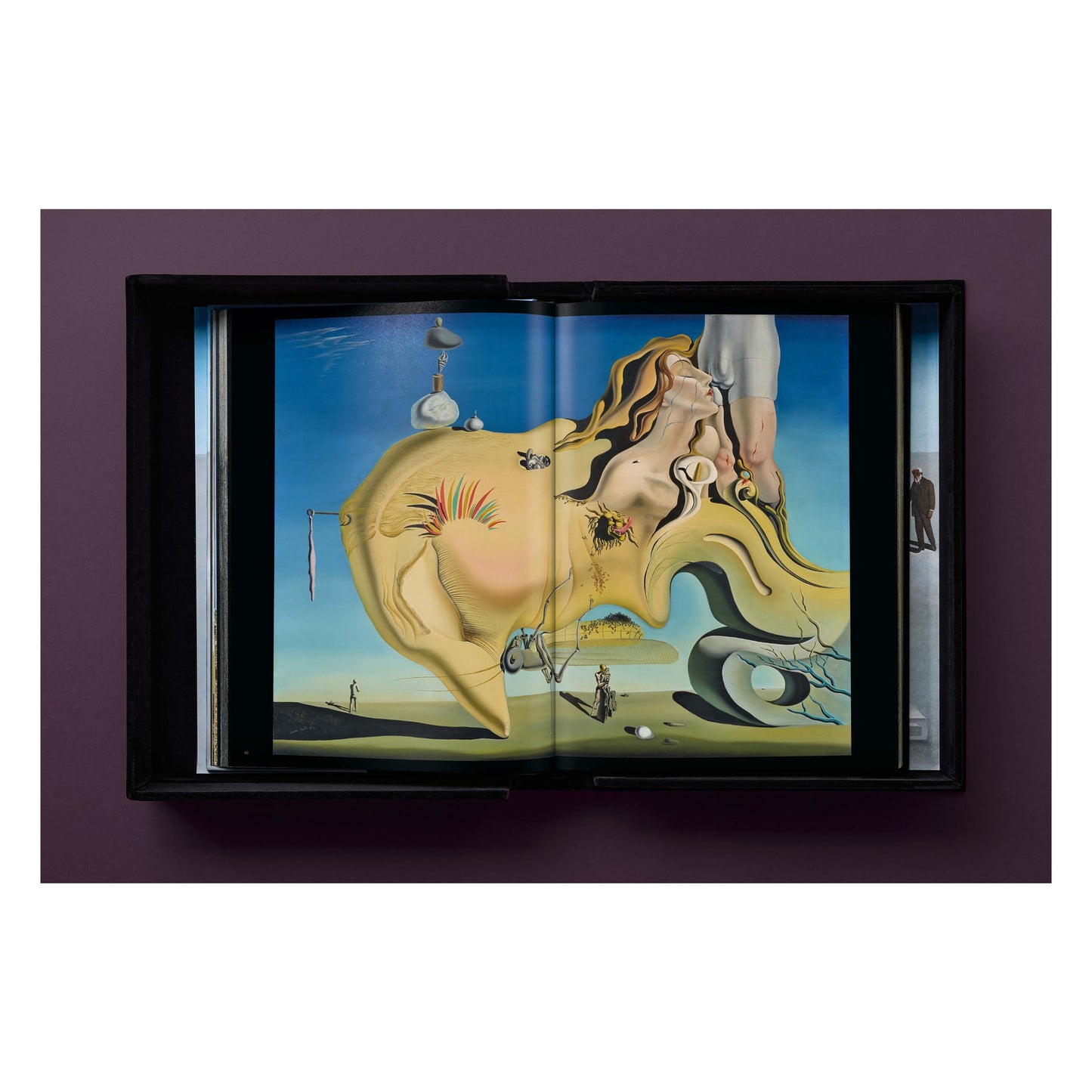 Dalí Baby SUMO (English) (SA)