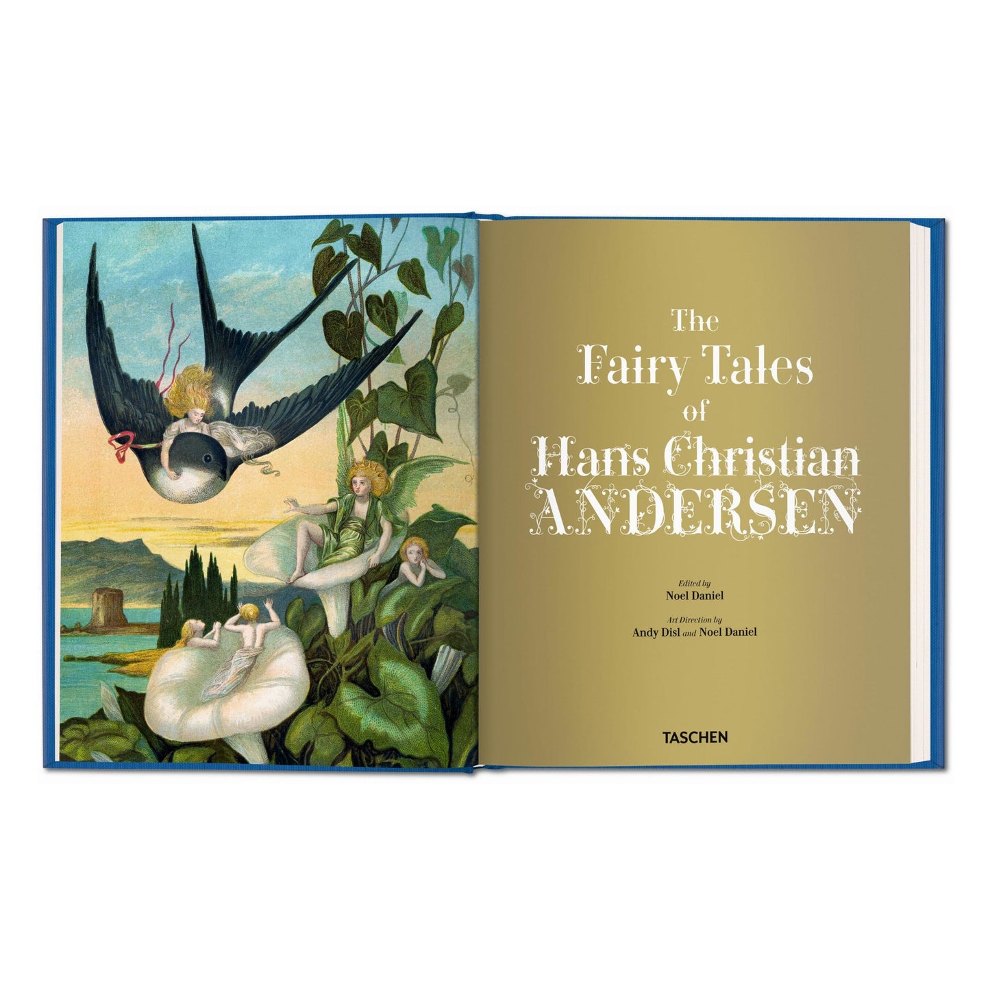 The Fairy Tales of Hans Christian Andersen (French)