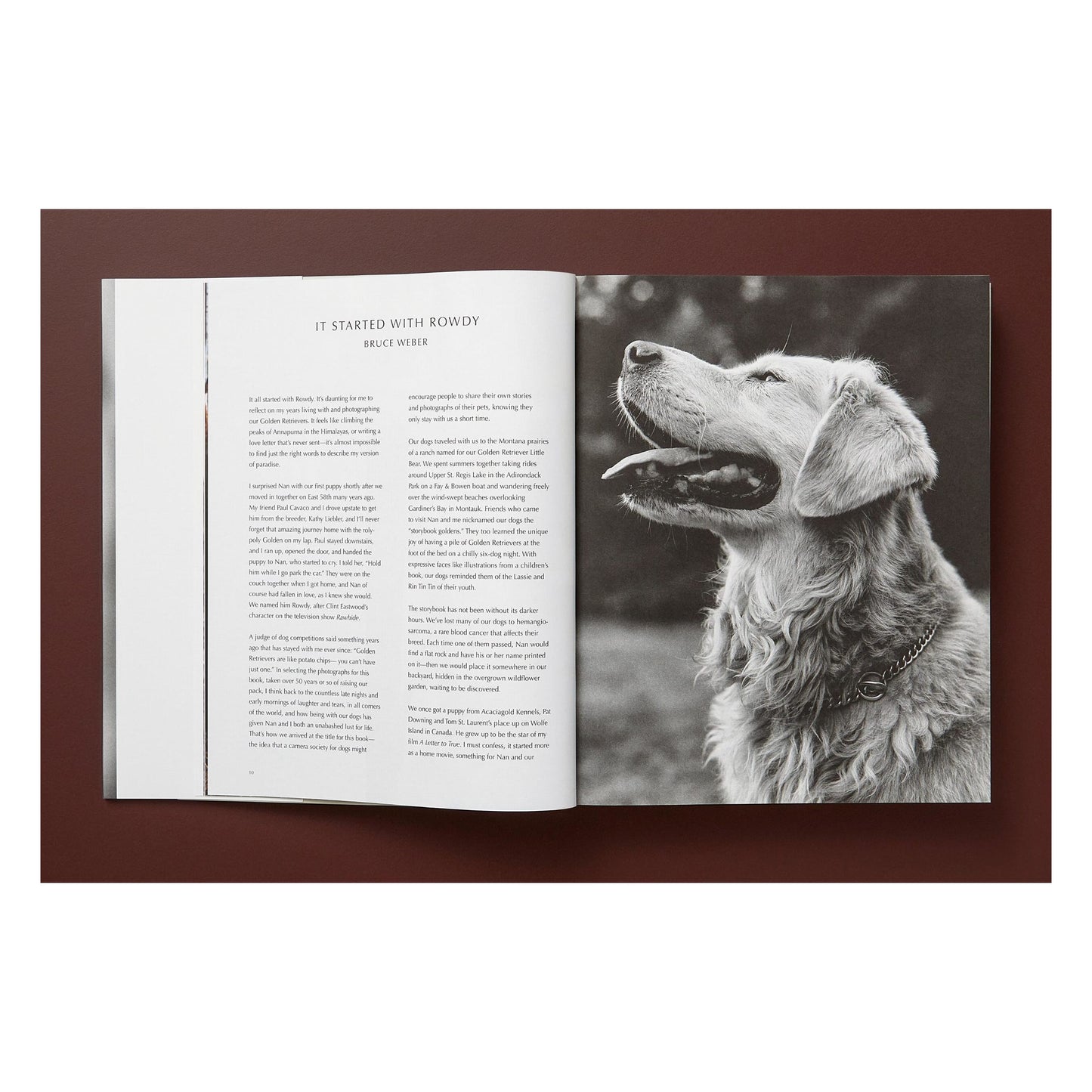 Bruce Weber. The Golden Retriever Photographic Society. Art Edition No. 1–100 ‘Little Bear Ranch, Montana, 1996’ (German, French, English)