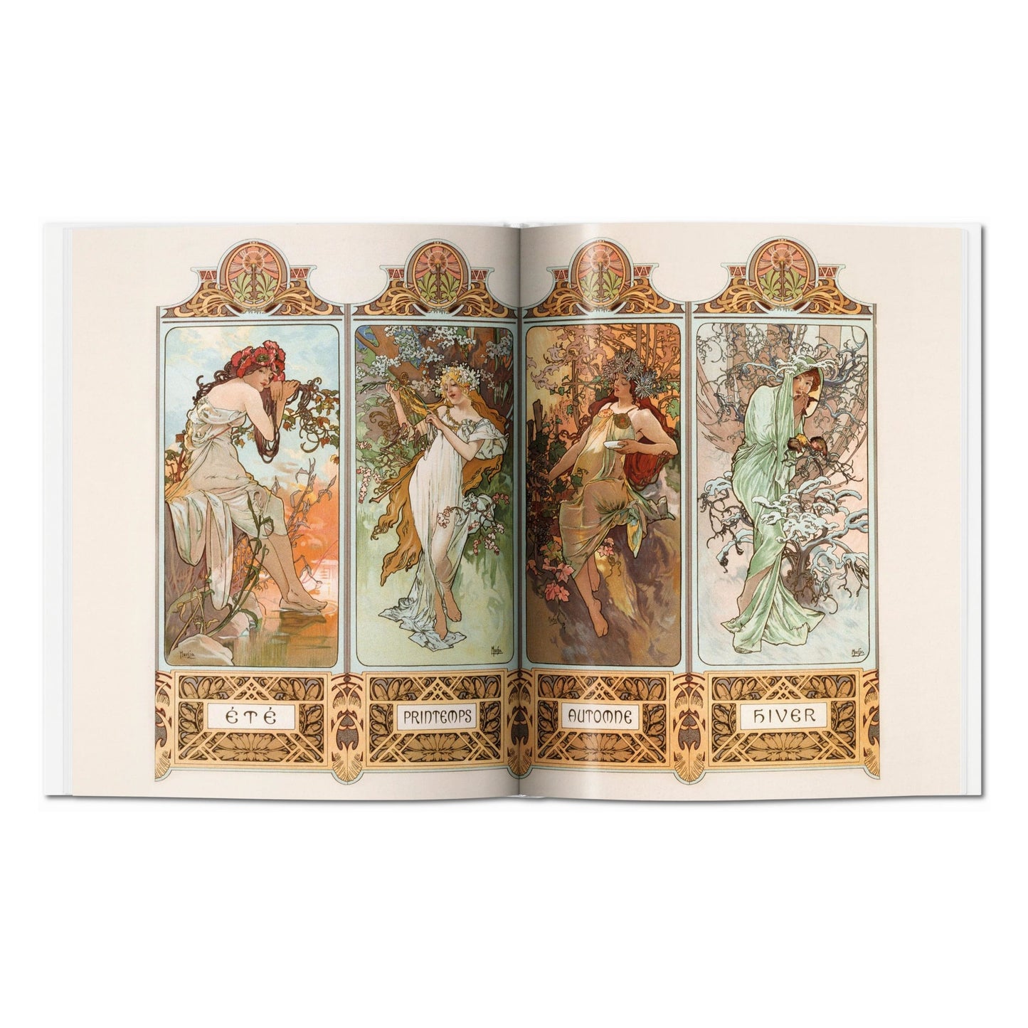 Mucha (German)