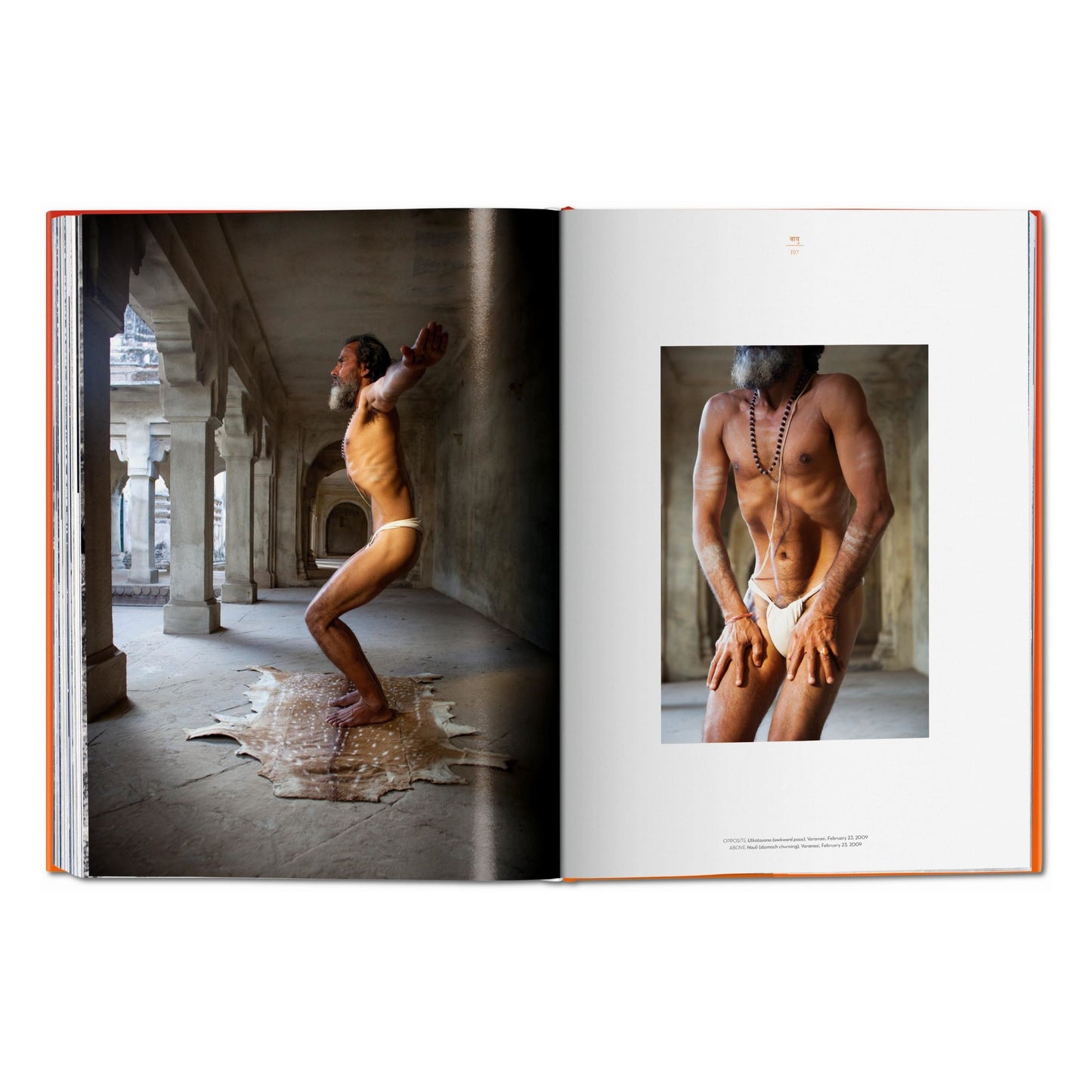 Michael O'Neill. Sullo Yoga: L'architettura della pace (Italian)
