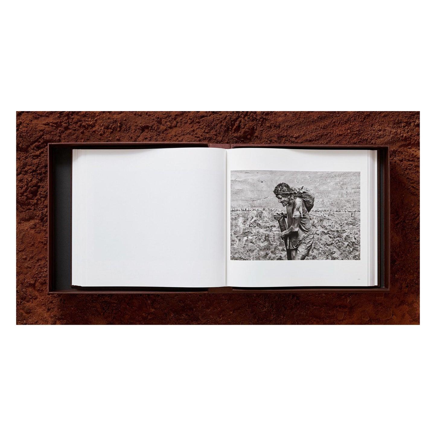 Sebastião Salgado. Gold (English) (AP)