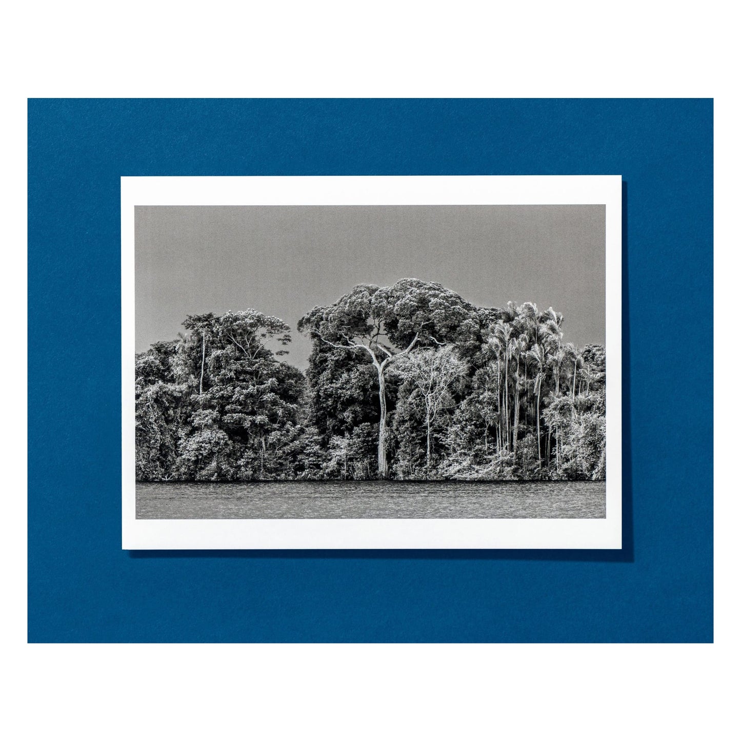 Sebastião Salgado. Amazônia. Postcard Set (German, Spanish, French, English)