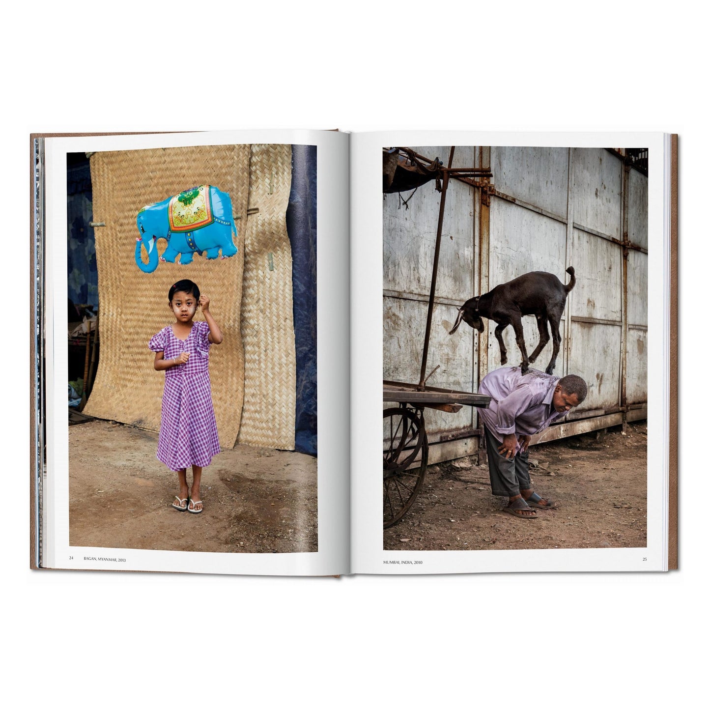 McCurry, Animals, Art B, Chennai (German, French, English) (AP)