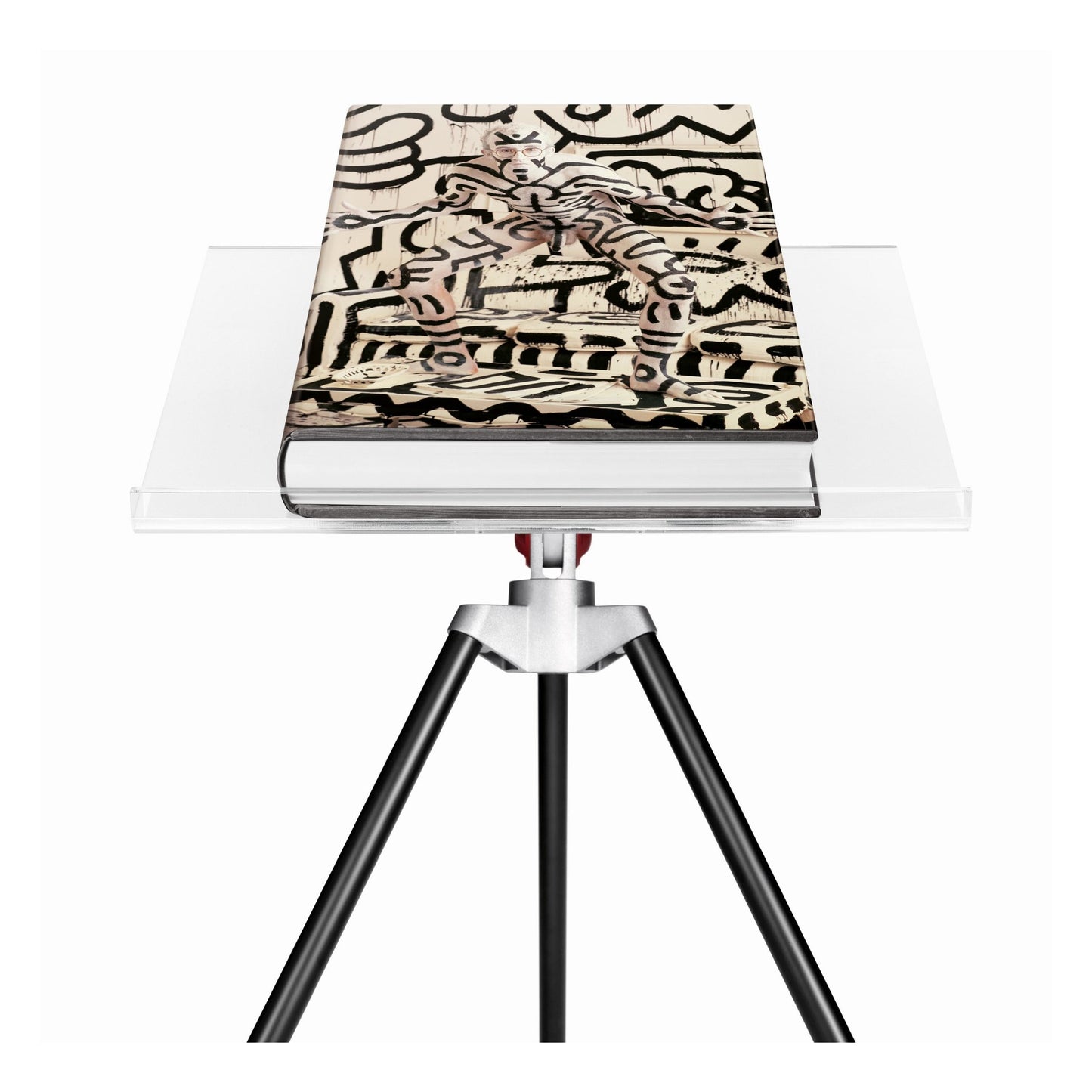 Annie Leibovitz. Art Edition (German, French, English)