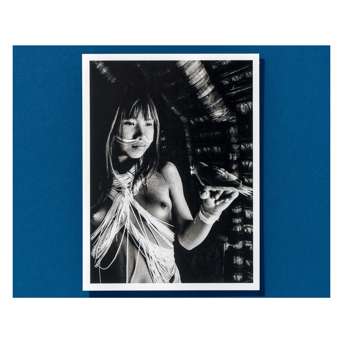 Sebastião Salgado. Amazônia. Postcard Set (German, Spanish, French, English)