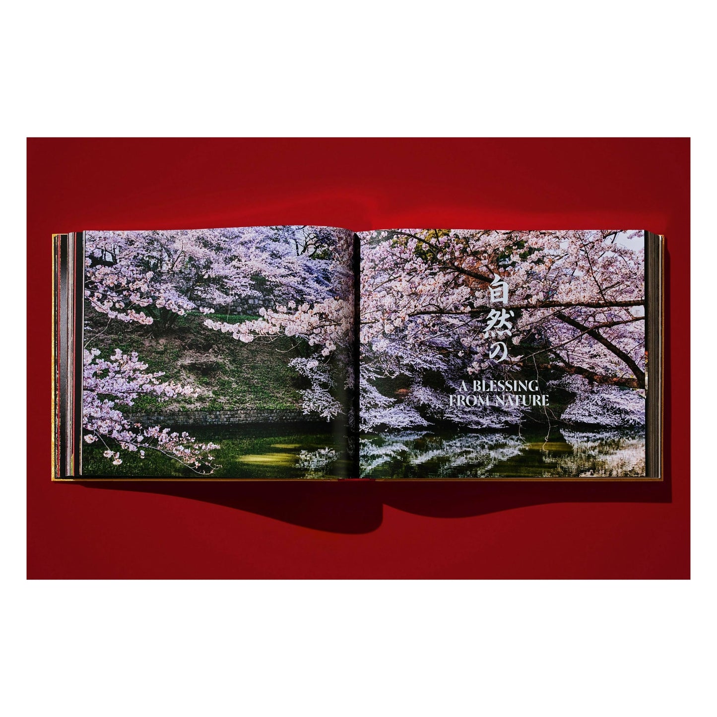 Yoshihiro Narisawa. Satoyama Cuisine (English) (SA)