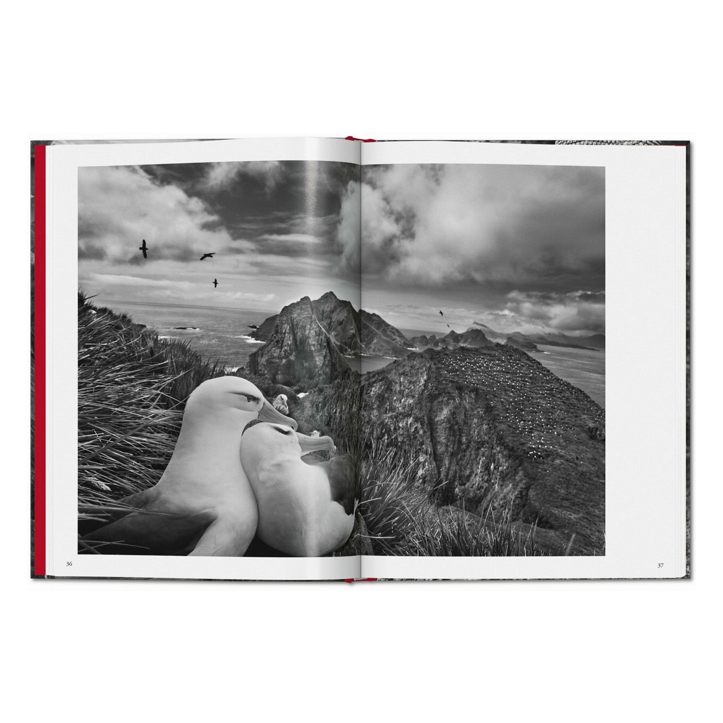 Sebastião Salgado. Gênesis (Portuguese)