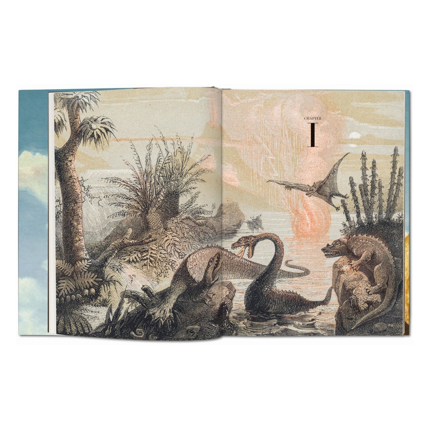 Paläo-Art. Darstellungen der Urgeschichte. 40th Ed. (German)