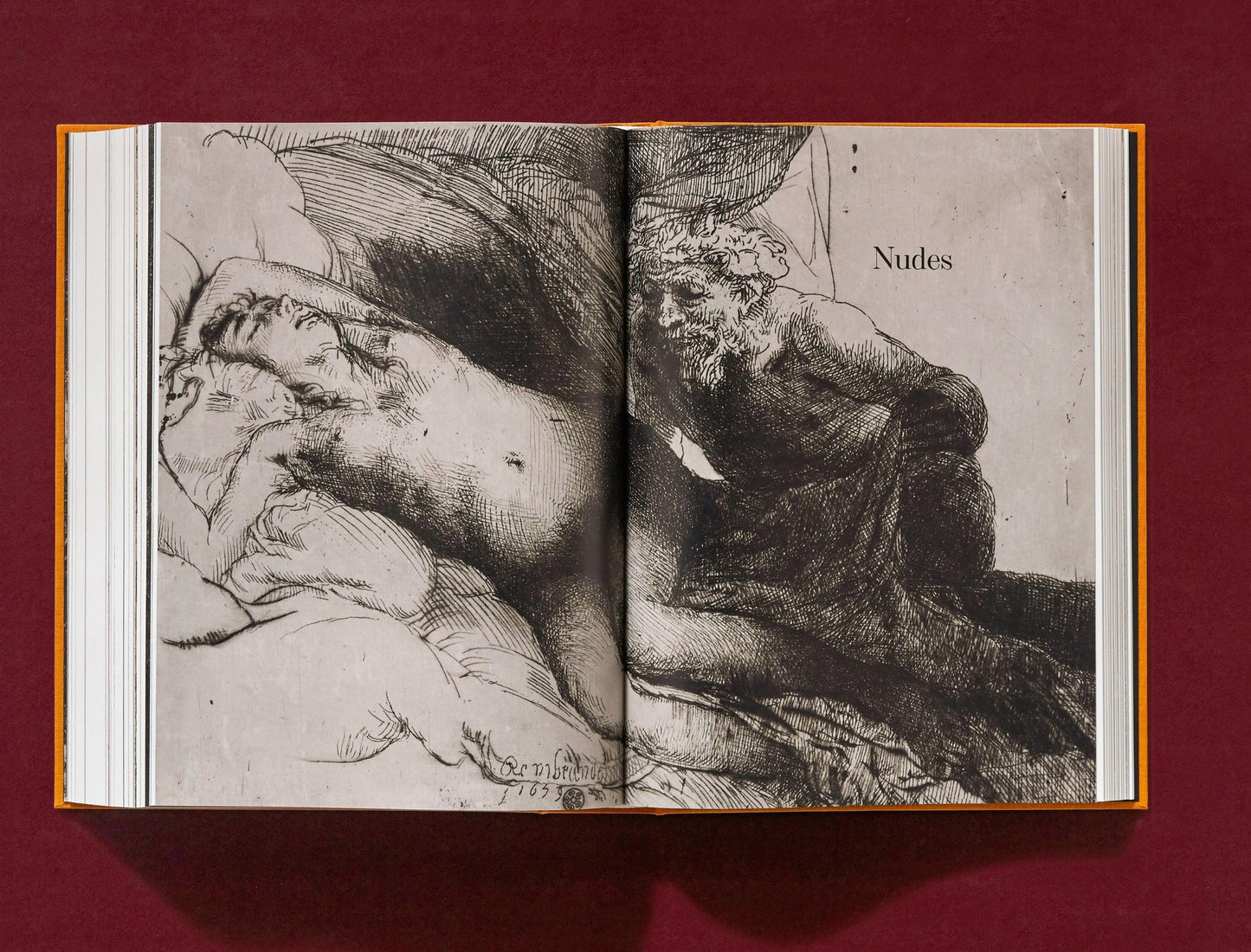 Rembrandt. Alle tekeningen en etsen (Dutch)