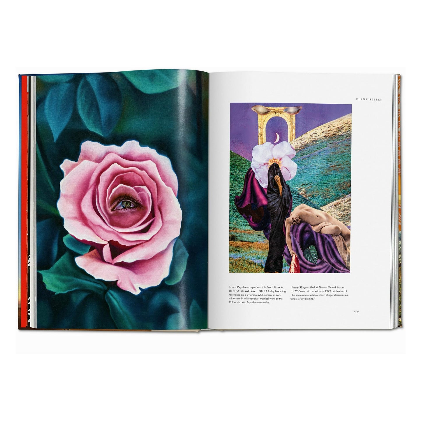 Pflanzen-Magie. Bibliothek der Esoterik (German)