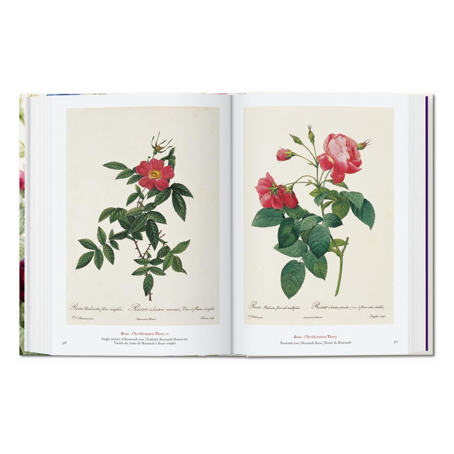 Redouté. El libro de las flores. 45th Ed. (Spanish, English, Italian)