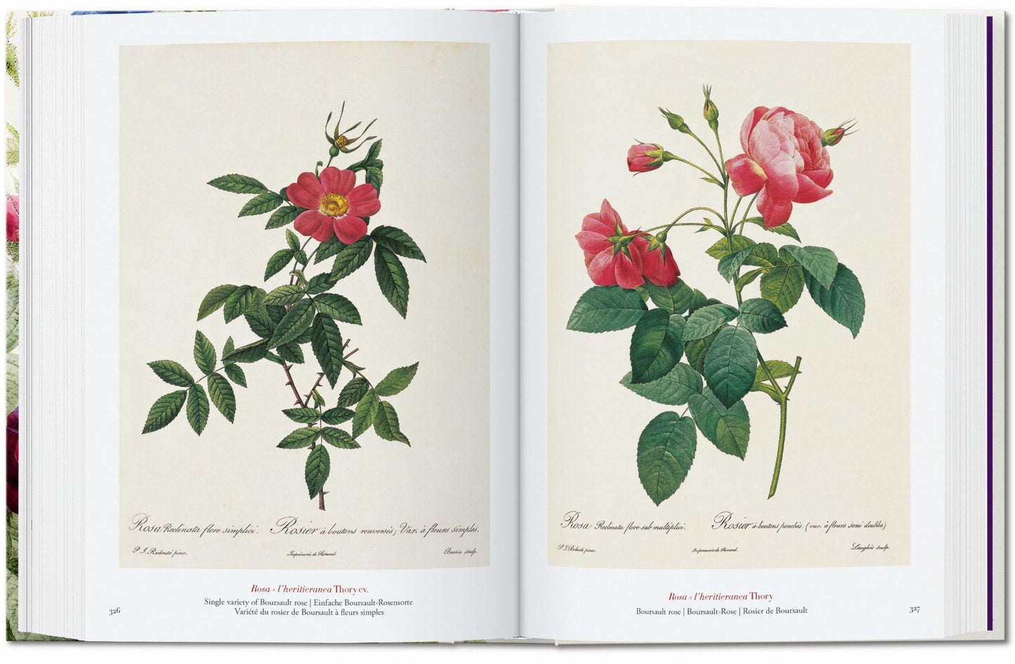Redouté. El libro de las flores. 45th Ed. (Spanish, English, Italian)