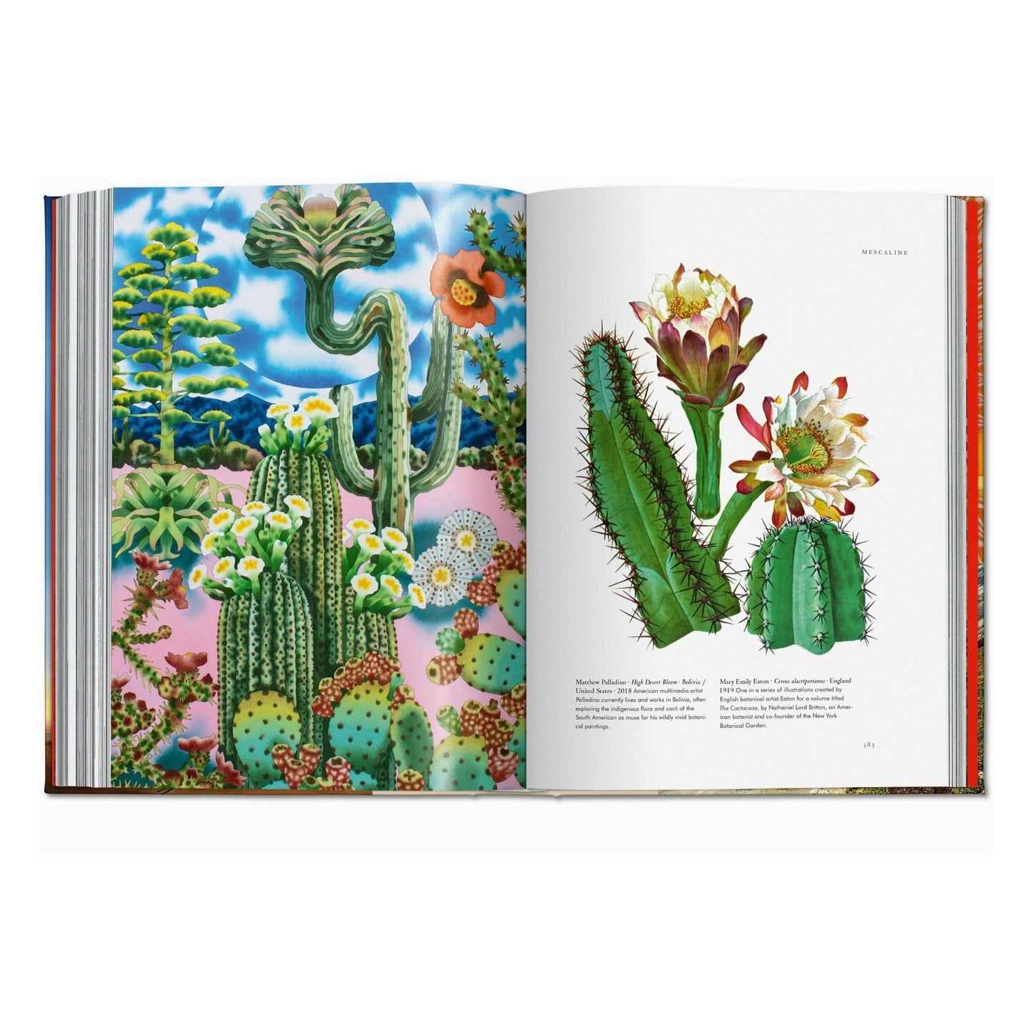 Pflanzen-Magie. Bibliothek der Esoterik (German)
