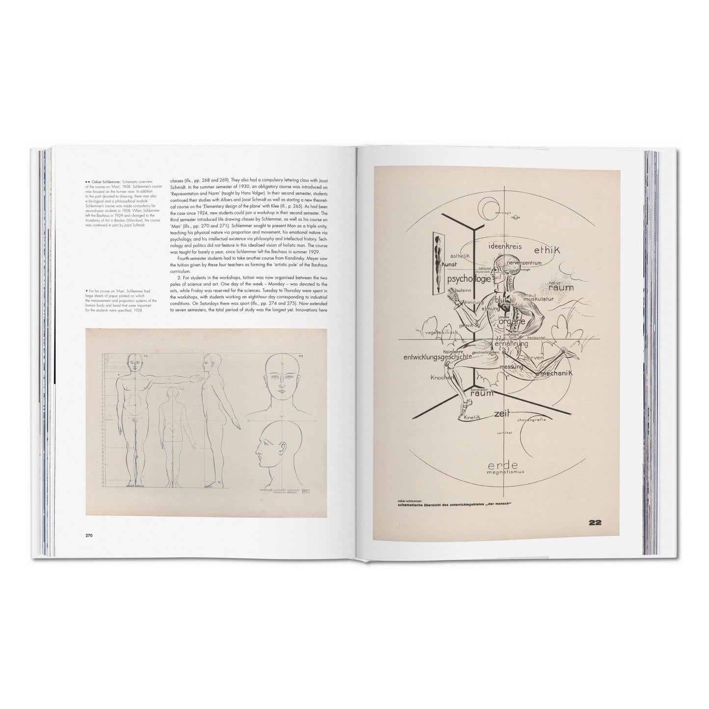 Bauhaus. Édition actualisée (French)