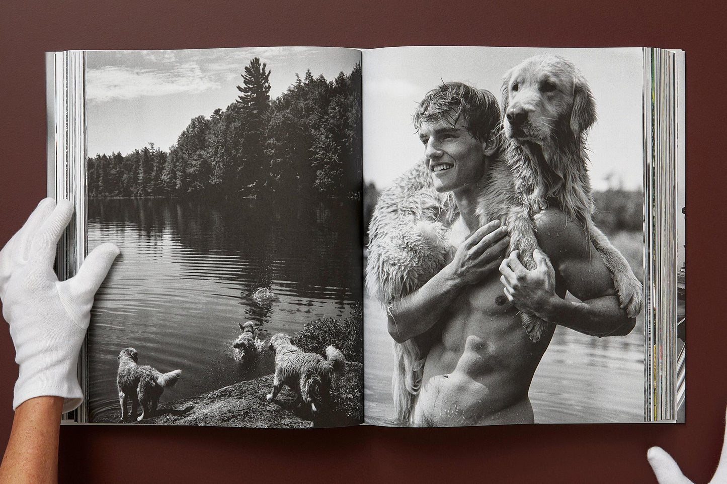 Bruce Weber. The Golden Retriever Photographic Society. Art Edition No. 101–200 ‘Hud, New York City, 2011’ (German, French, English) (AP)