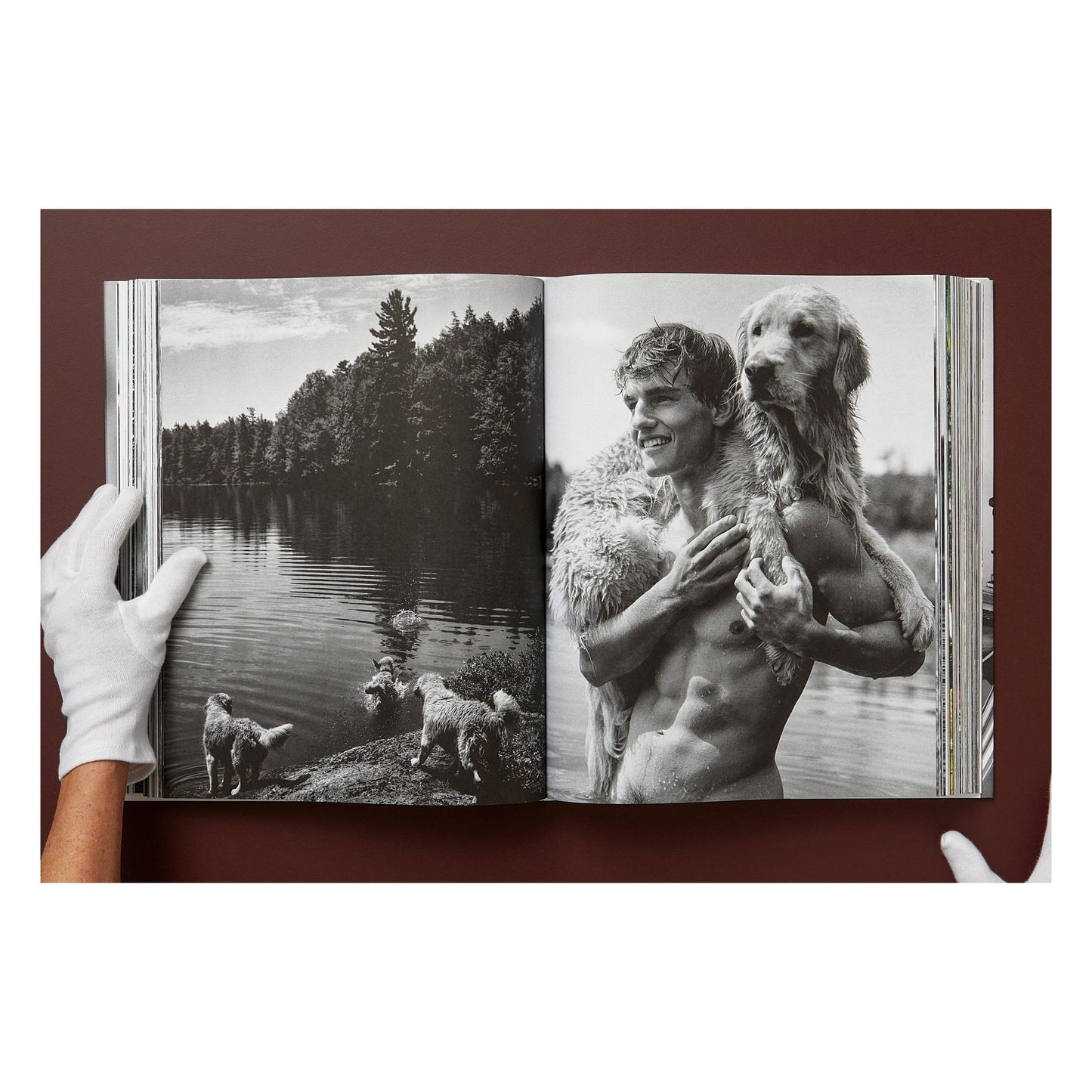 Bruce Weber. The Golden Retriever Photographic Society. Art Edition No. 1–100 ‘Little Bear Ranch, Montana, 1996’ (German, French, English) (AP)