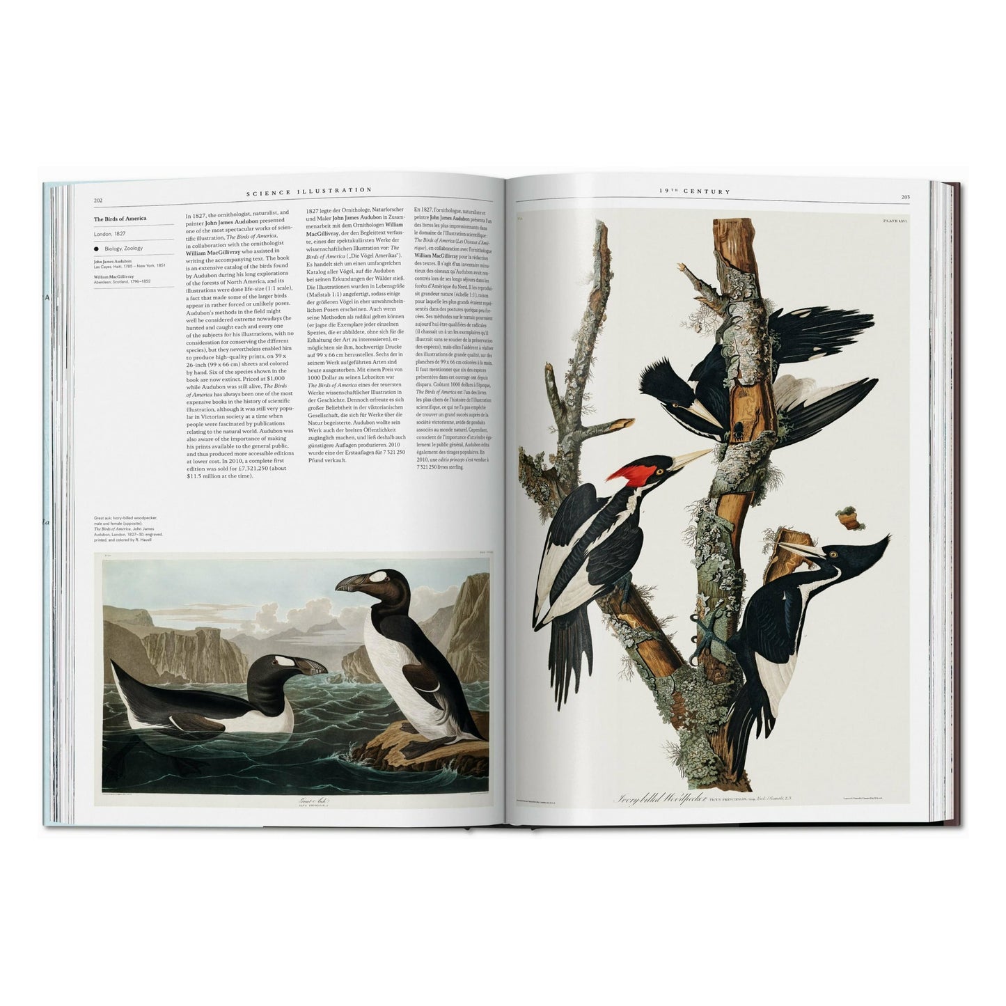 Science Illustration. A History of Visual Knowledge from the 15th Century to Today (Spanish, English, Italian)
