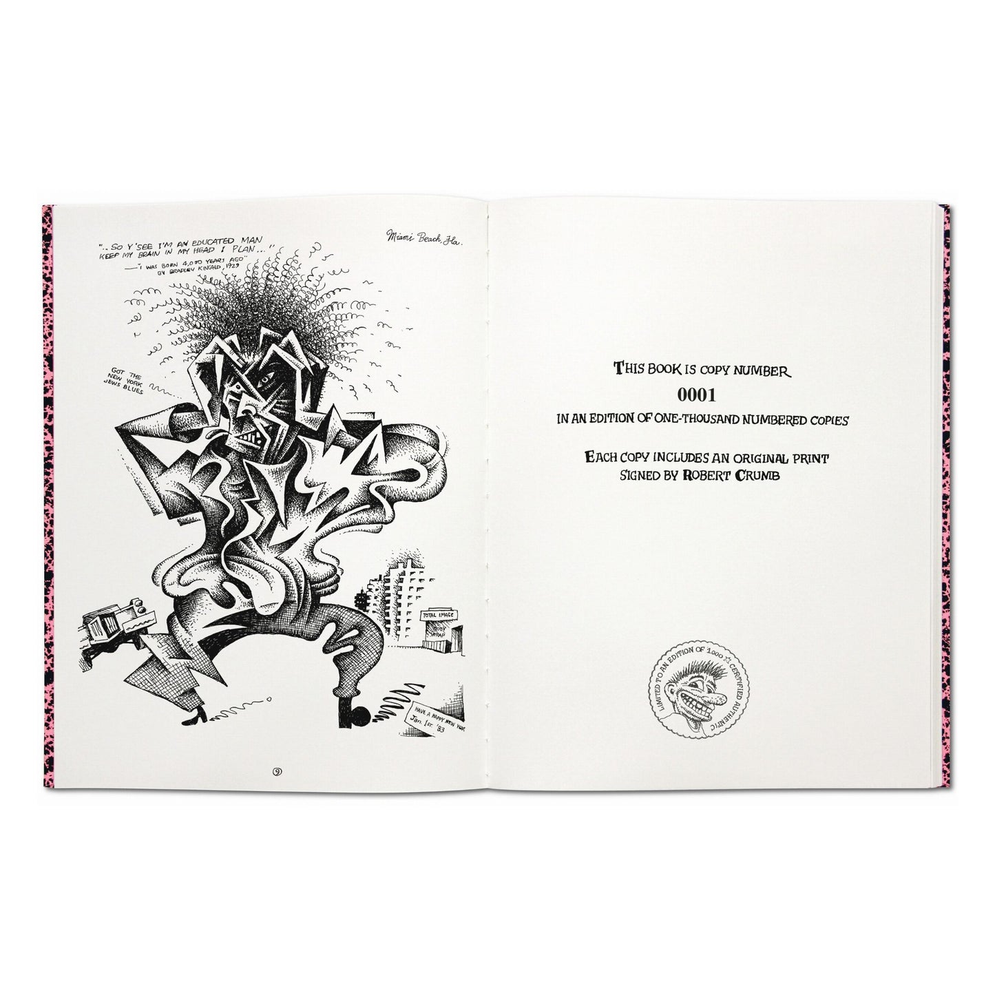 Robert Crumb. Sketchbooks 1982-2011 (English) (SA)