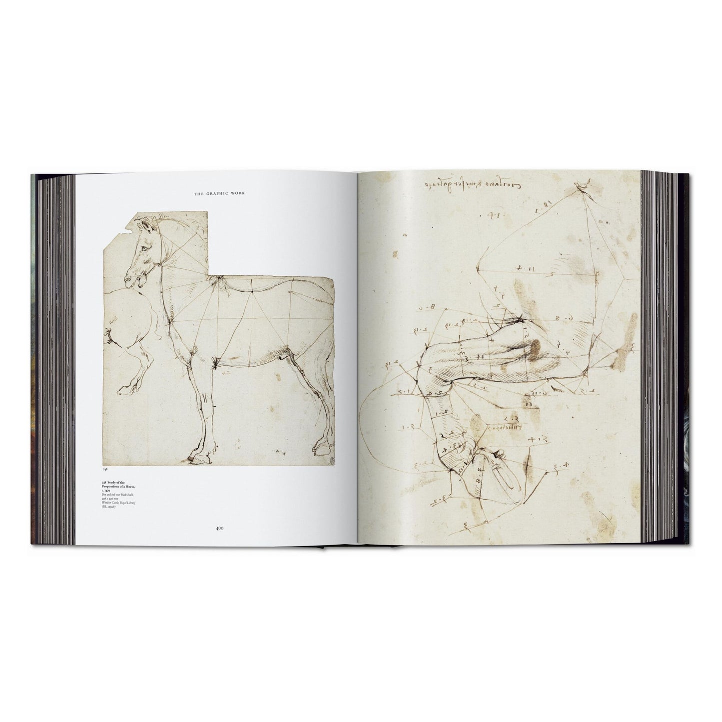 Leonardo. Sämtliche Gemälde und Zeichnungen (German)