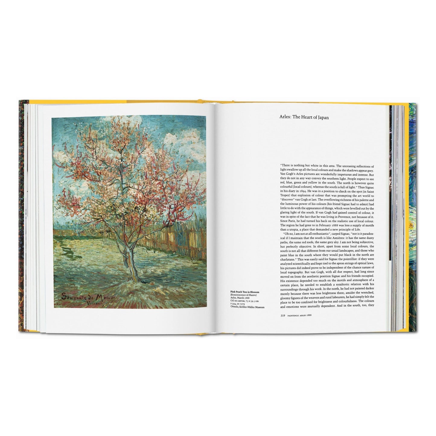 Van Gogh. The Complete Paintings (English)