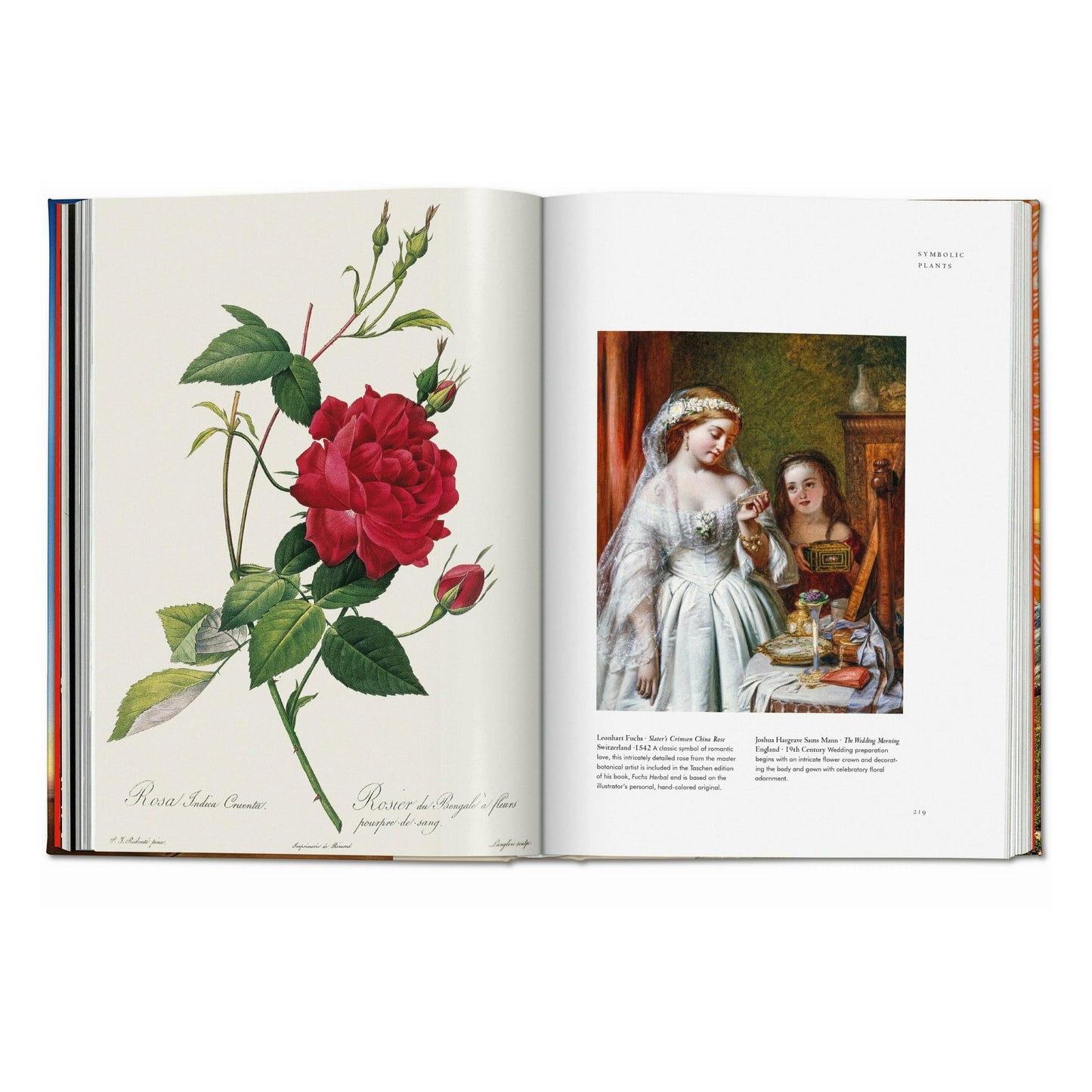 Pflanzen-Magie. Bibliothek der Esoterik (German)