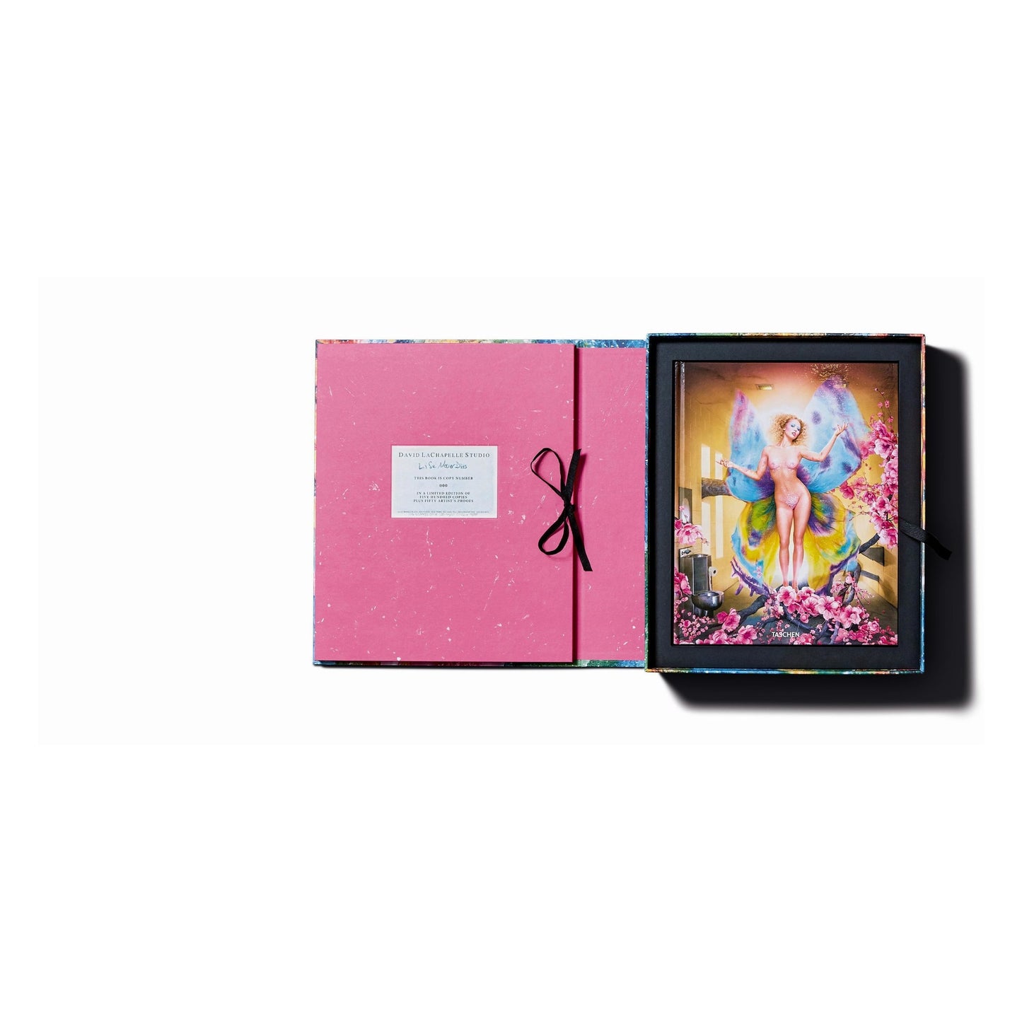 David LaChapelle. Lost and Found – Good News, Art Edition (German, French, English) (SA)