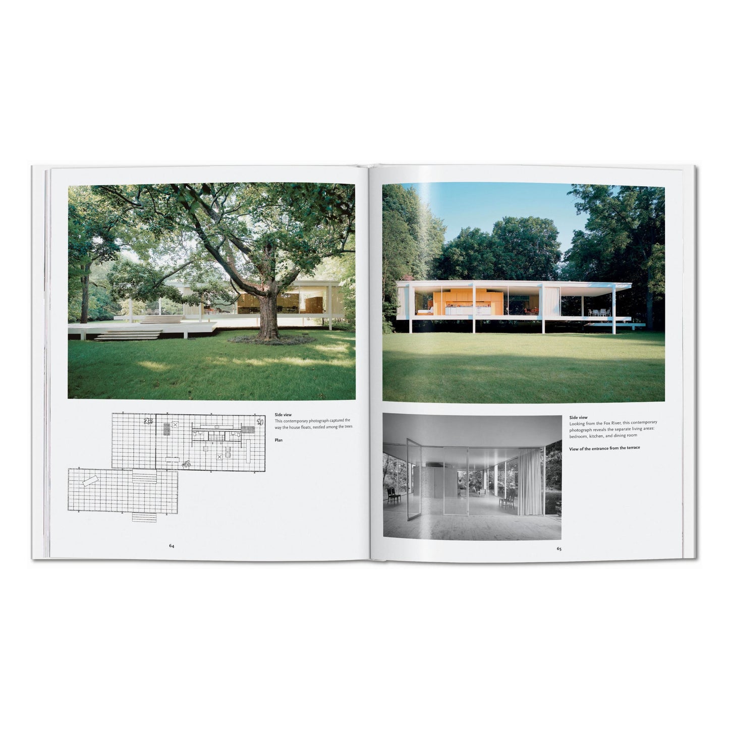 Mies van der Rohe (German)