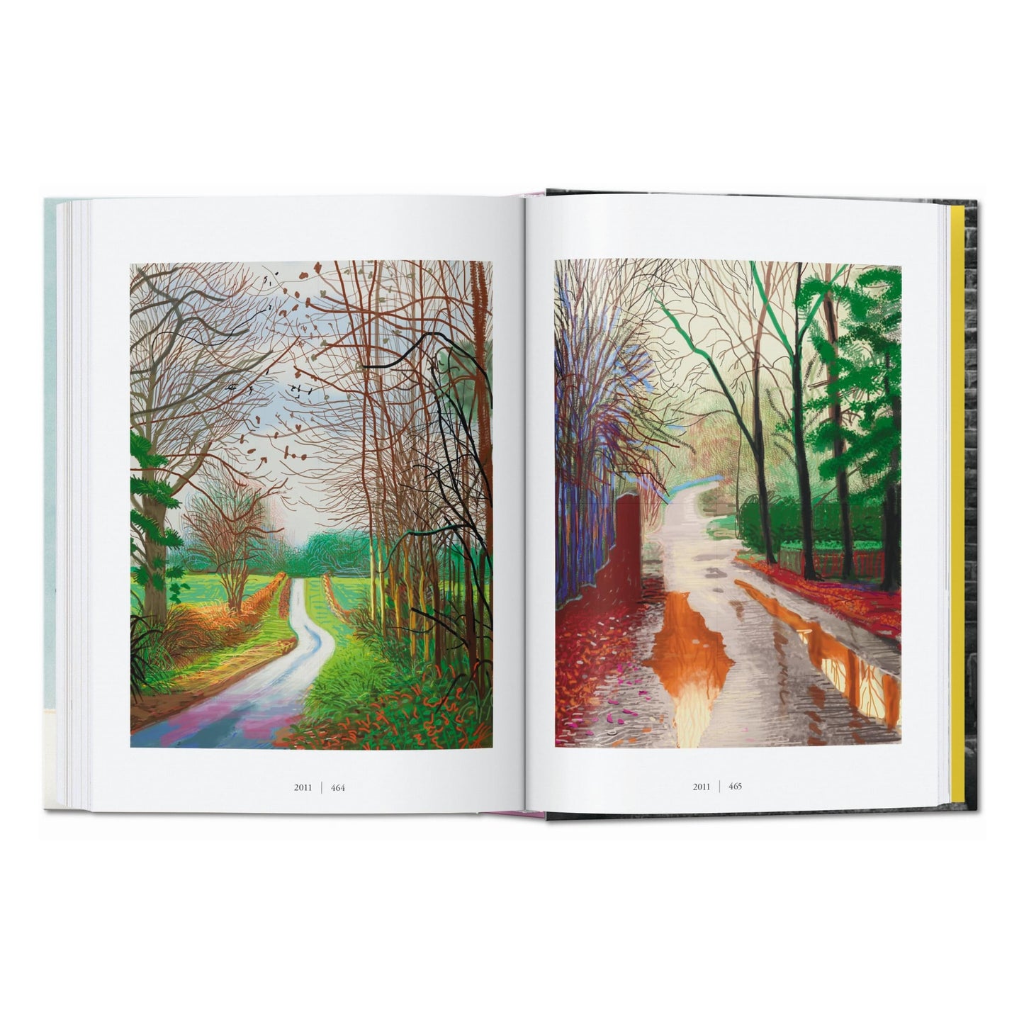 David Hockney. Una cronologia. 45th Ed. (Italian)