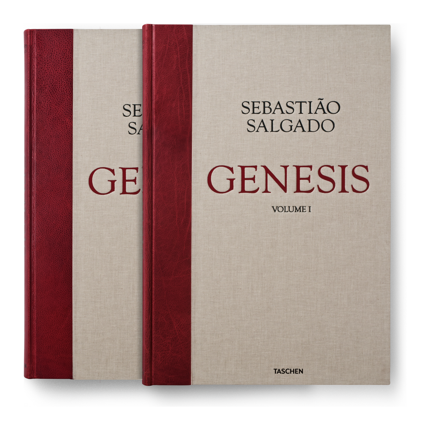 Sebastião Salgado. Genesis (English) (AP)