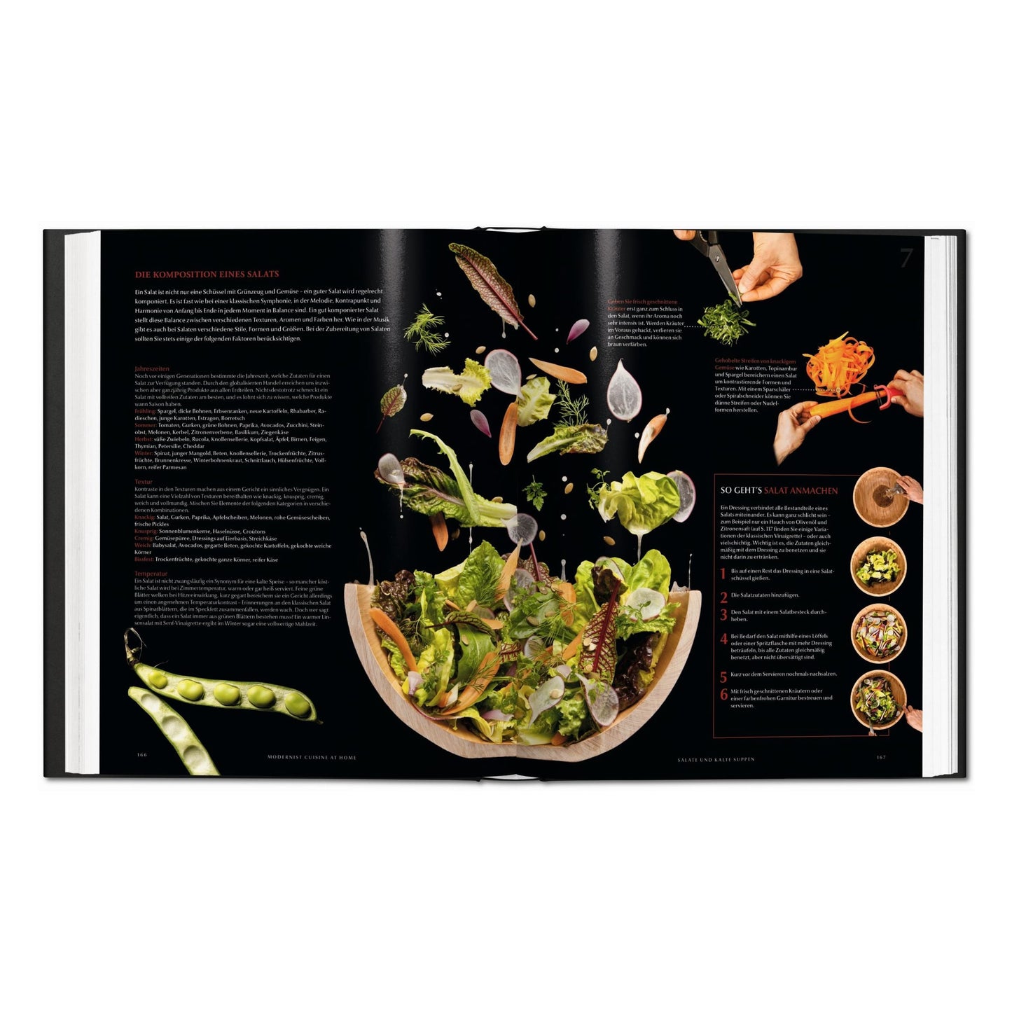 Modernist Cuisine at Home (German)