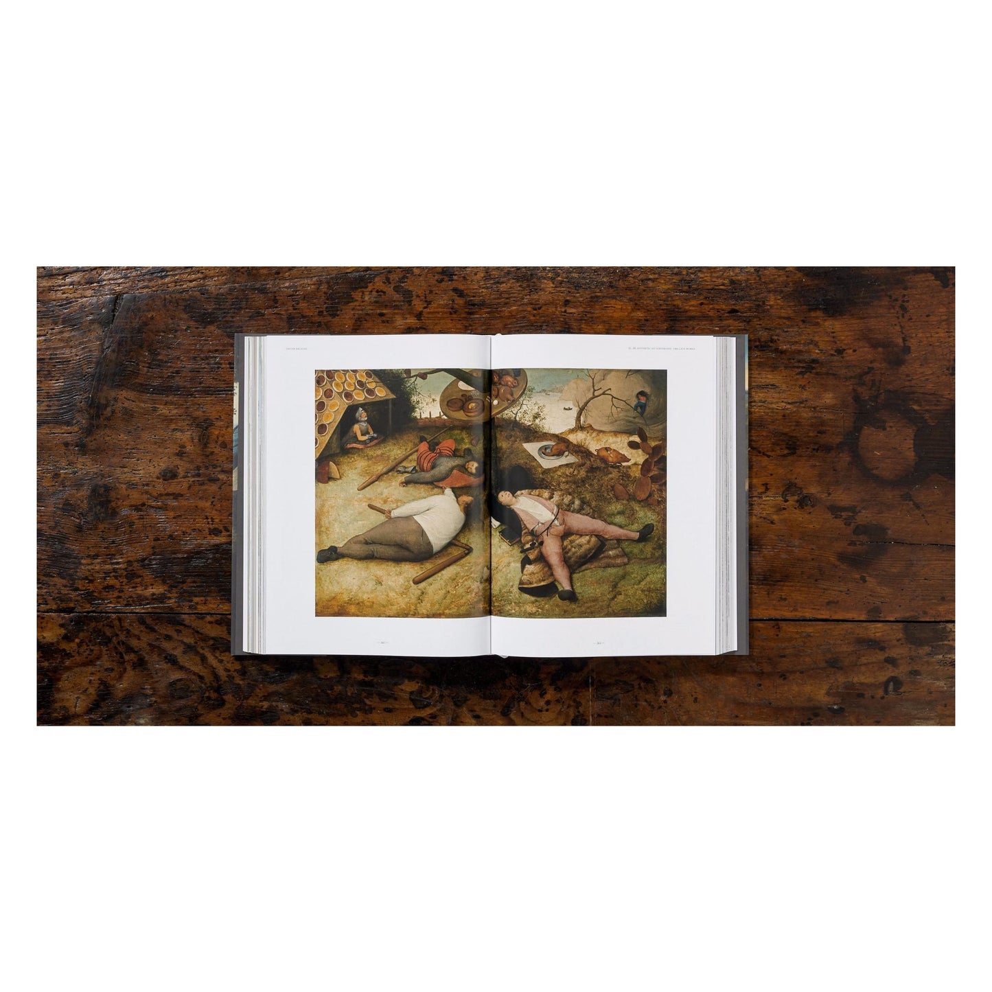 Bruegel. Das vollständige Werk (German)
