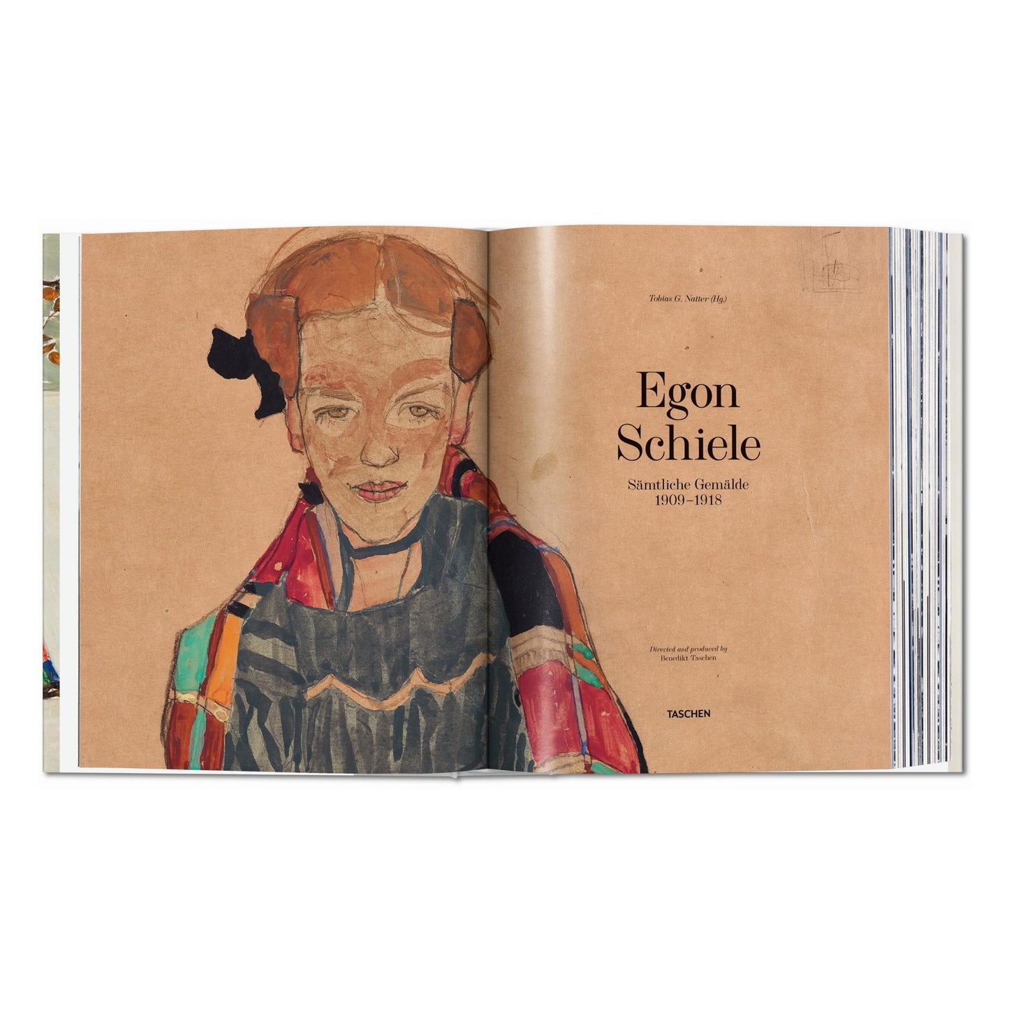 Egon Schiele. Sämtliche Gemälde 1909-1918 (German)