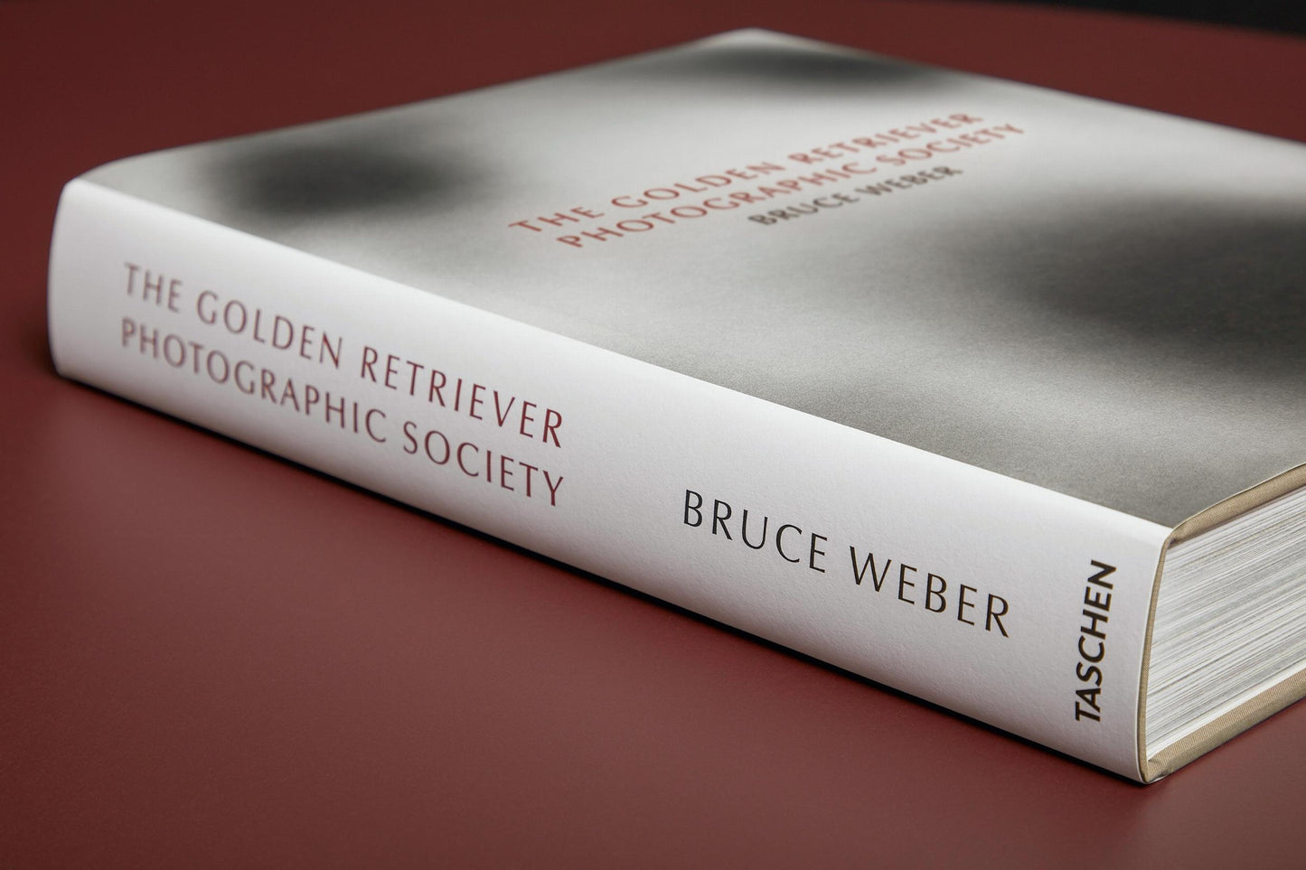 Bruce Weber. The Golden Retriever Photographic Society. Art Edition No. 101–200 ‘Hud, New York City, 2011’ (German, French, English)