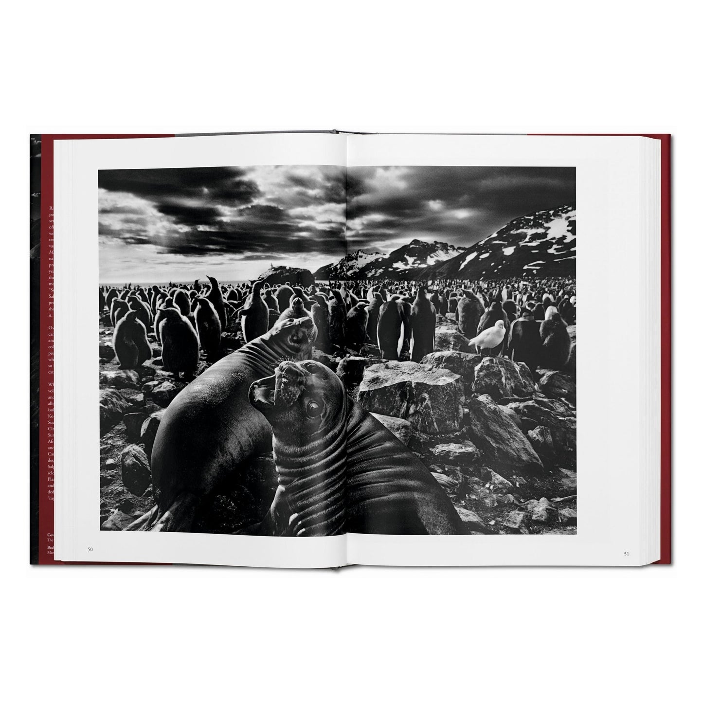 Sebastião Salgado. Genesi (Italian)