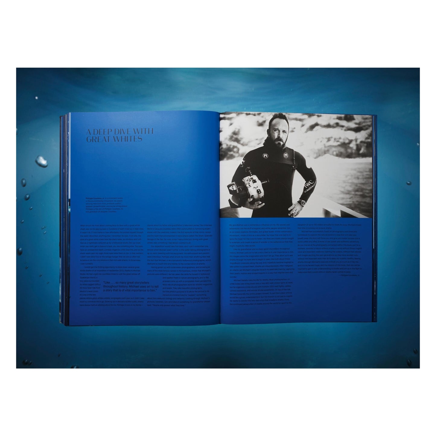 Michael Muller. Sharks, Art Edition No. 1–100 ‘Tear You Apart’ (English) (AP)