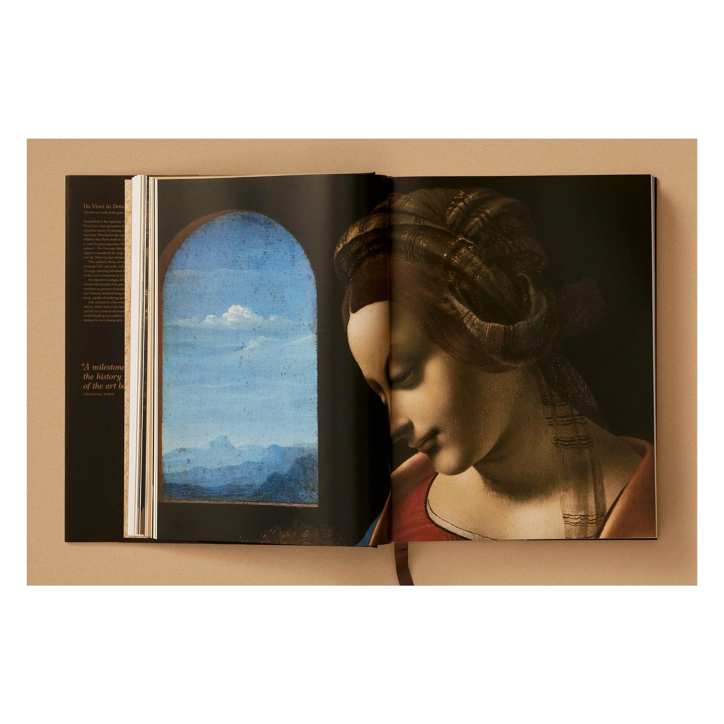 Leonardo. Sämtliche Gemälde und Zeichnungen (German)