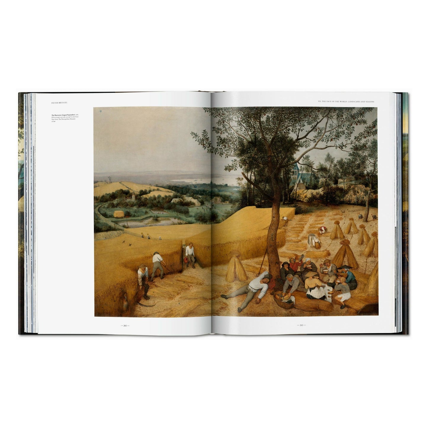 Bruegel. La obra completa (Spanish)