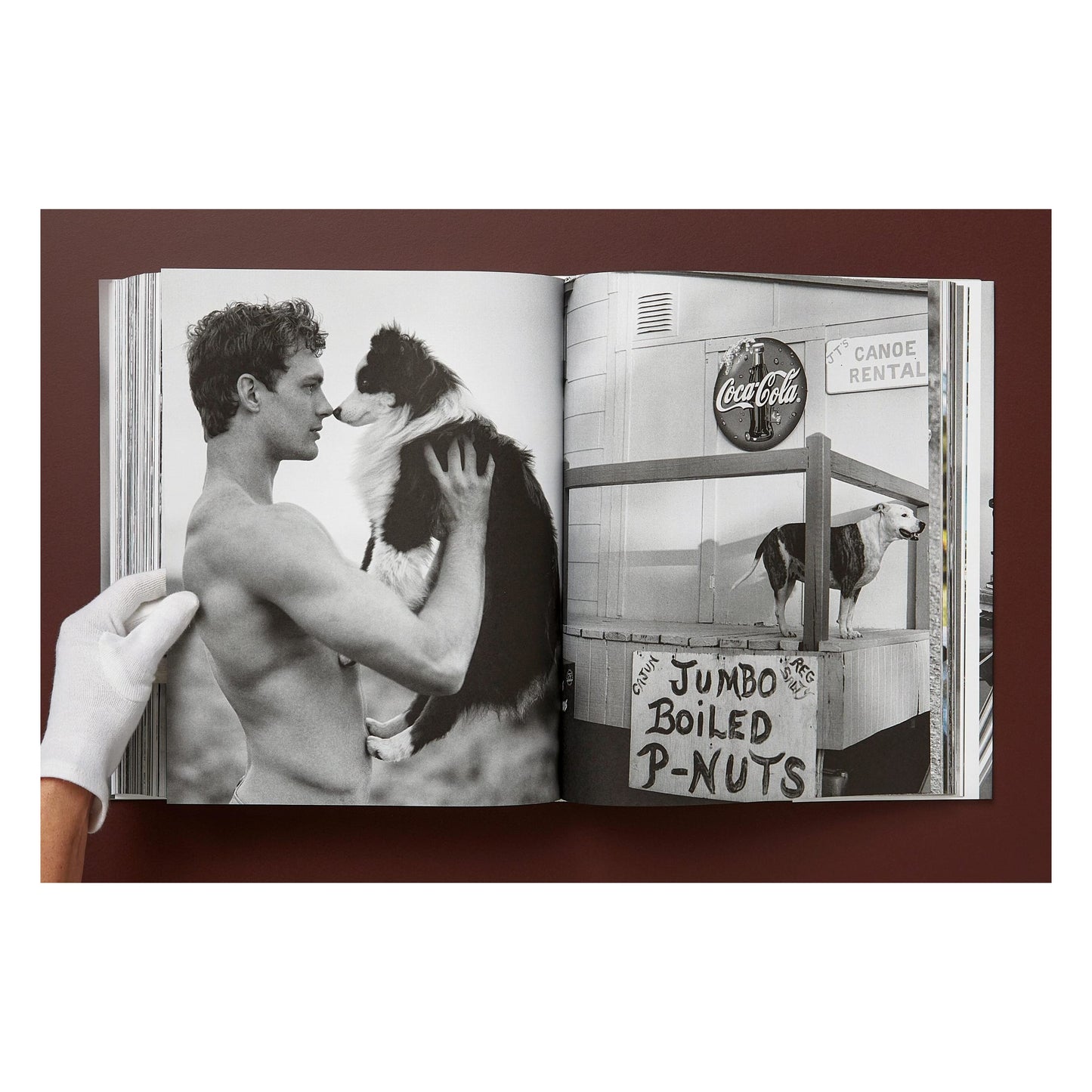 Bruce Weber. The Golden Retriever Photographic Society. Art Edition No. 101–200 ‘Hud, New York City, 2011’ (German, French, English)