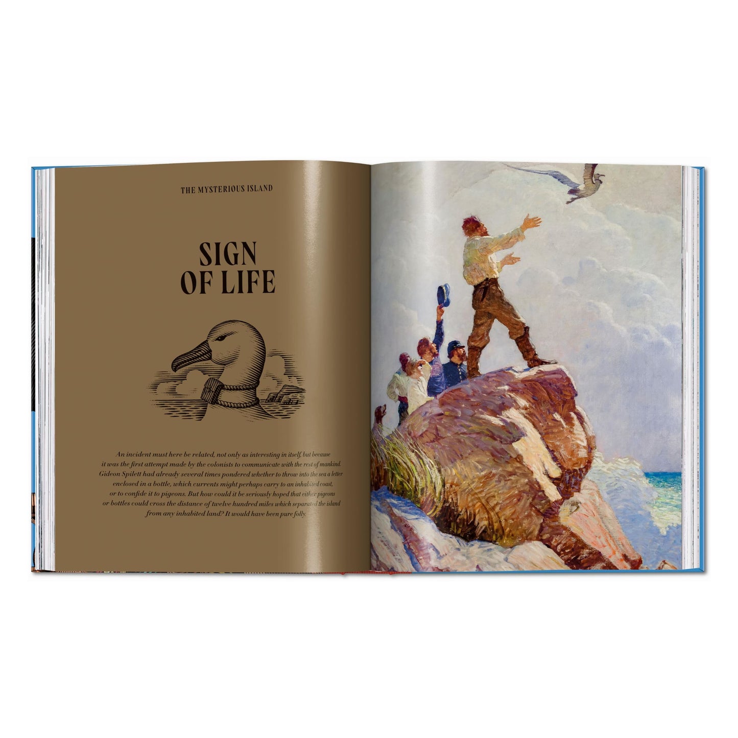 Histoires de Pirates (French)