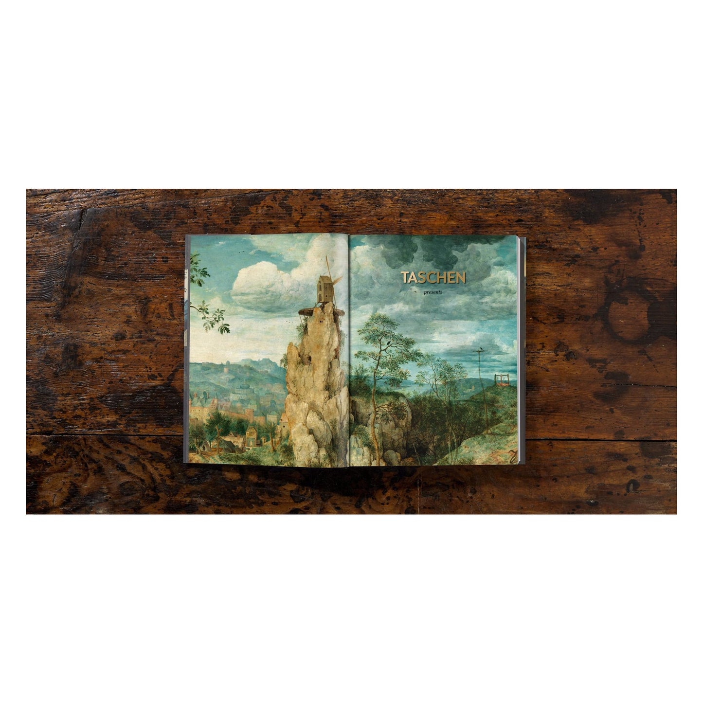 Bruegel. Das vollständige Werk (German)