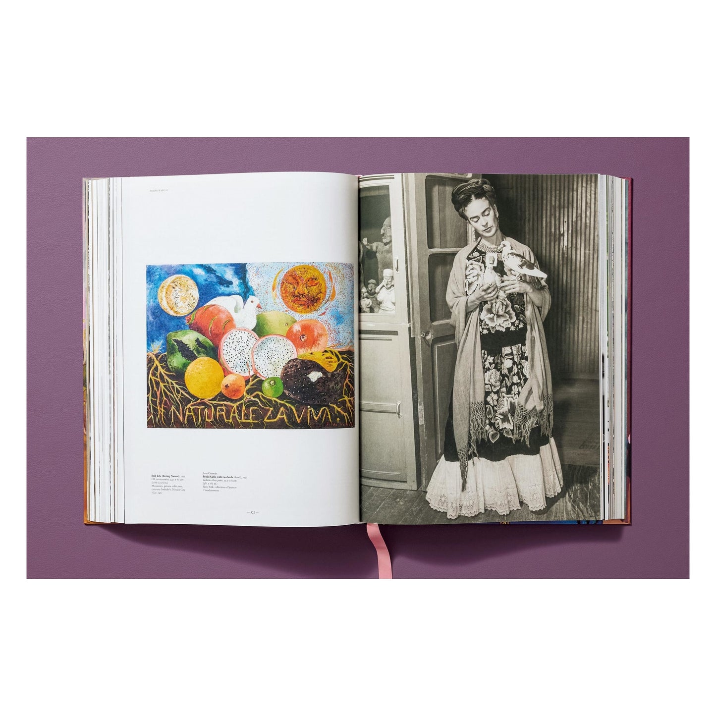 Frida Kahlo. Sämtliche Gemälde (German)